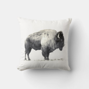 Coussin Photographie historique du bison américain