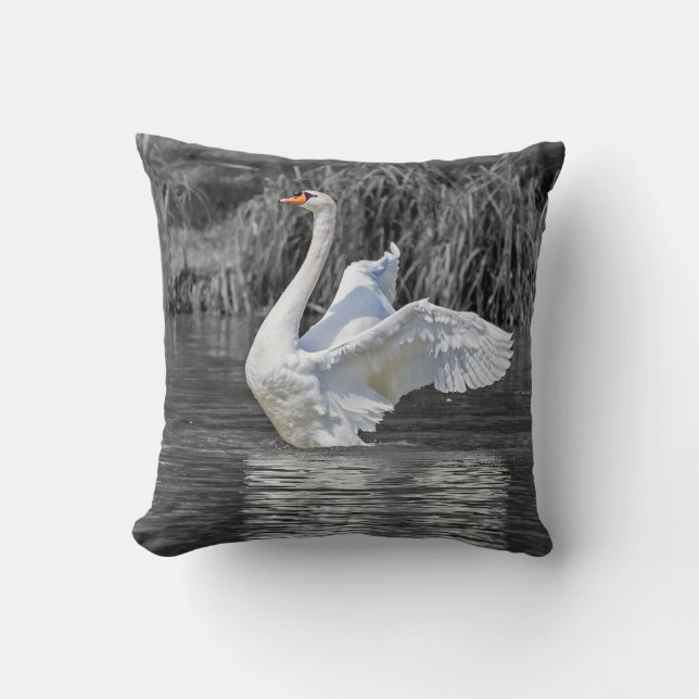 Coussin Photographie noir et blanc cygne (Recto)