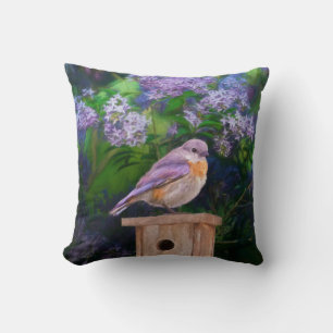Coussin Photographie originale de Merlebleu de l'Est dans