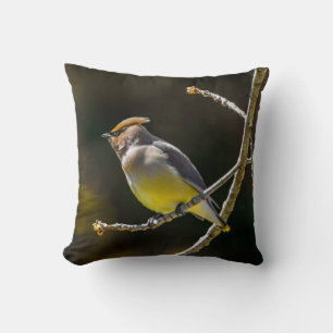 Coussin Photographie originale d'oiseau sauvage Jaseur d'A