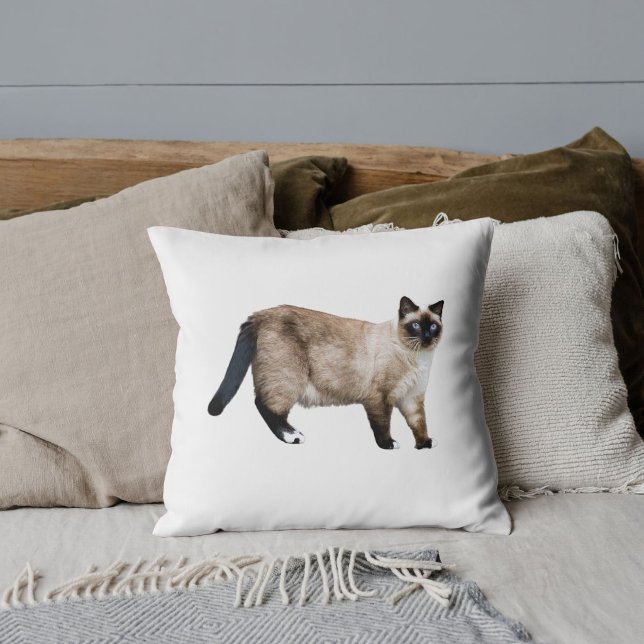 Coussin Photographie personnalisée de chat siamois mignon  (Créateur téléchargé)