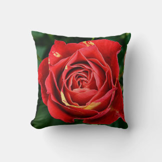 Coussin Photographie Rose Rouge