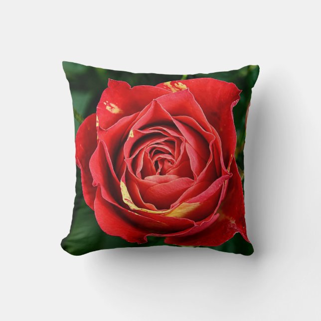 Coussin Photographie Rose Rouge  (Recto)
