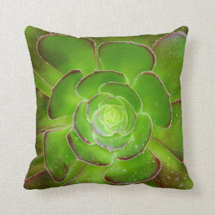 Coussin Photographie succulente verte rayonnante de macro