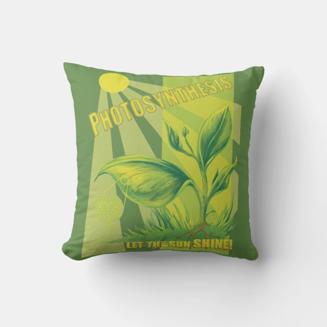Coussin Photosynthèse (Recto)