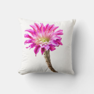 Coussin Piazza rose fleur de cactus en fleur