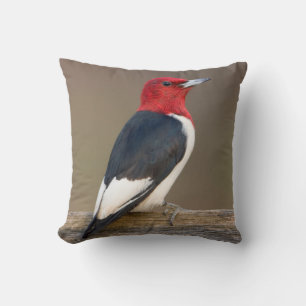 Coussin Pic à tête rouge sur une clôture