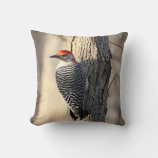 Coussin Pic à ventre rouge