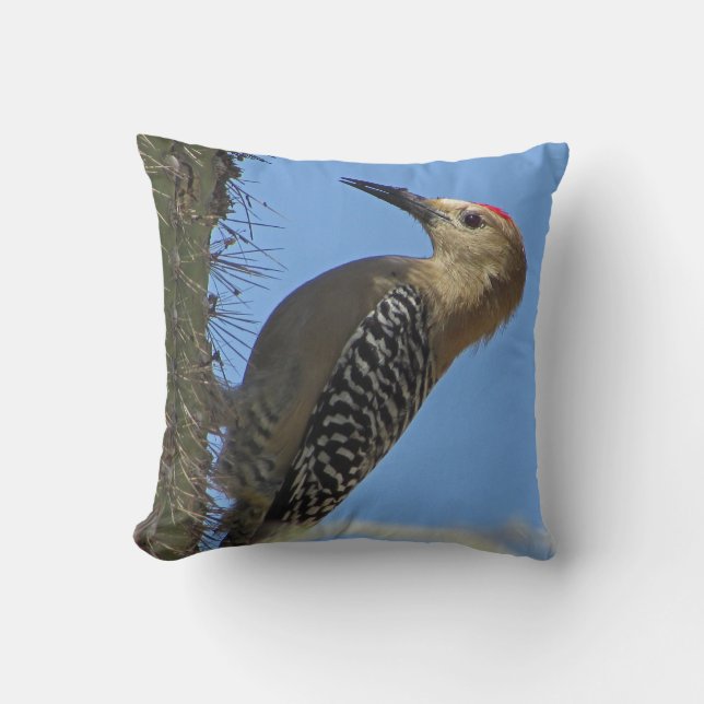 Coussin Pic avec Cactus Photo Desert Southwest Bird (Recto)