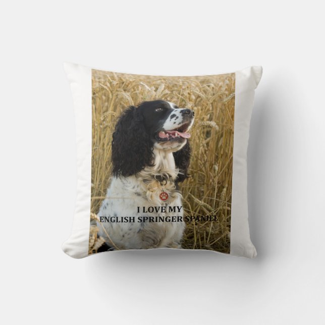 Coussin PIC du bwlove W d'épagneul de springer anglais (Recto)