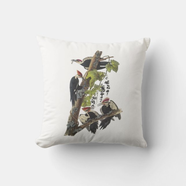 Coussin Pic pilé par Audubon (Recto)