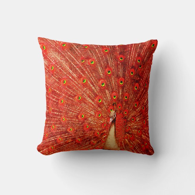 Coussin Pic Rouge Disposant De Ses Plumes Rouges, (Recto)