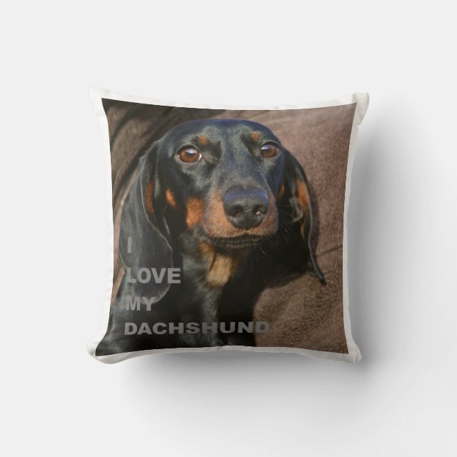 Coussin PIC teckel-noire et bronzage de l'amour W (Recto)