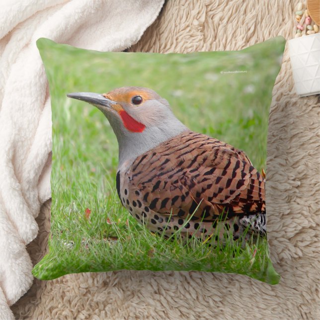 Coussin Picteur boréal époustouflant en train de fourrager (Couverture)