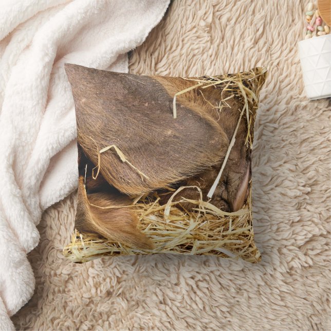 COUSSIN PIÈCES (Couverture)