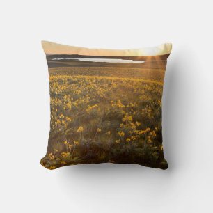 Coussin Pied de flèche Balsamroot Fleurs sauvages