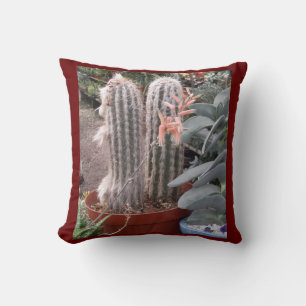 Coussin Piillow à lancer de cactus