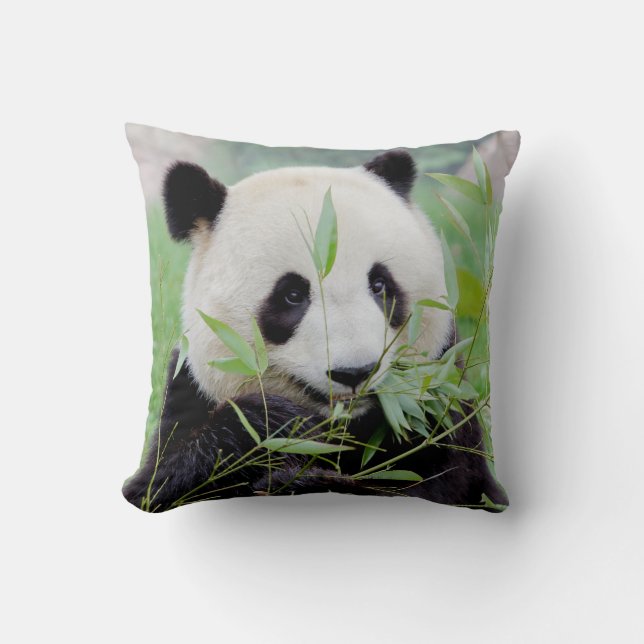 Coussin Pillow photo giant panda. (Recto)