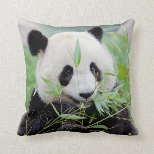 Coussin Pillow photo giant panda.