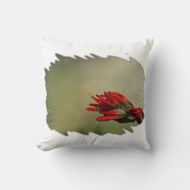 Coussin Pinceau Indien Large Bord blanc (Recto)