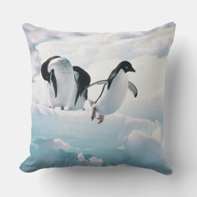 Coussin Pingouins d'Adelie (adeliae de pygoscelis) (Recto)