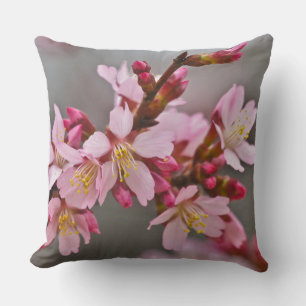 Coussin Pink Against A Gray Sky Japanese Cherry Blossoms