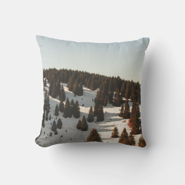 COUSSIN PINS VERTS (Recto)