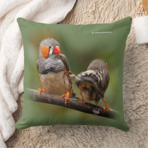 Coussin Pinsons zébrés effrontés oiseaux chanteurs sur une