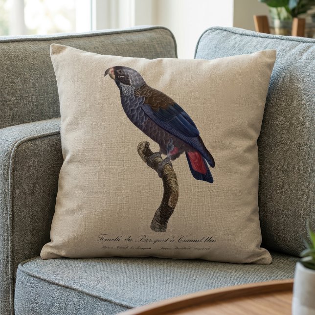Coussin Pionus fuscus, ou Pion gris-perle, ou Pionus sombr (Dusky Parrot or Dusky Pionus, Pionus fuscus. Throw Pillow)