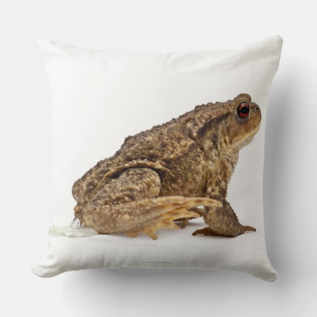 Coussin Pisser de crapaud commun ou de crapaud européen (Recto)