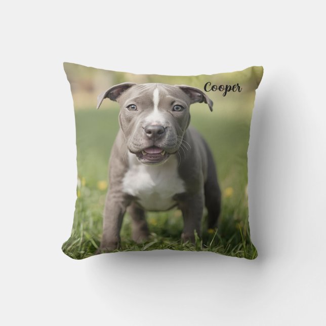 Coussin Pit Bull personnalisé (Recto)