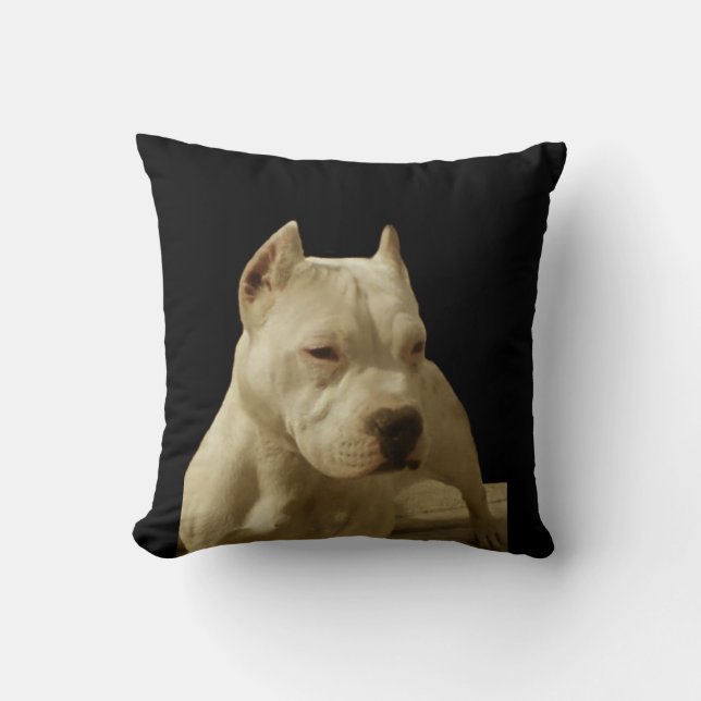 Coussin Pitbull blanc Terrier (Recto)