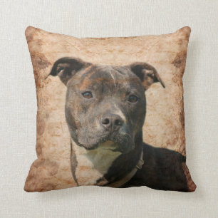 Coussin Pitbull Terrier