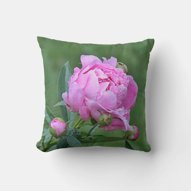 Coussin Pivoine rose (Recto)