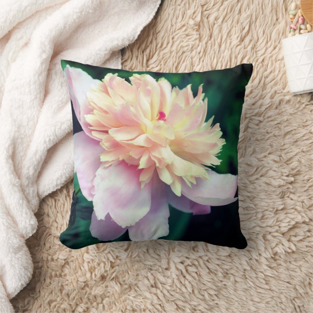 Coussin Pivoine Rose Fleurie En Gros Plan  (Couverture)