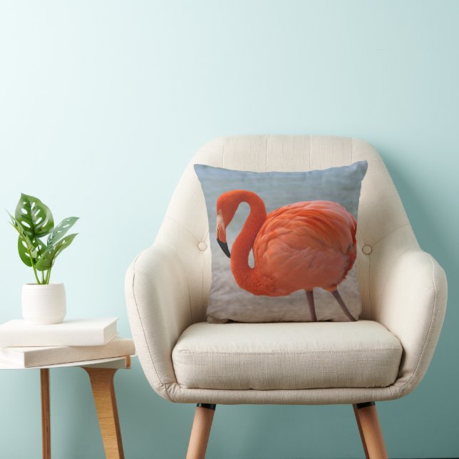 Coussin Plages tropicales | Flamant rose des Caraïbes, Aru (Chaise)