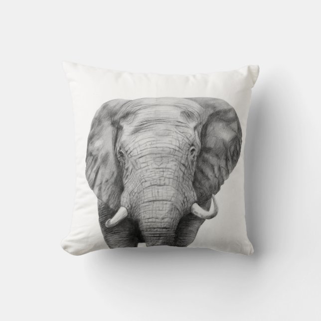 Coussin Plan de sauvegarde IV (Recto)