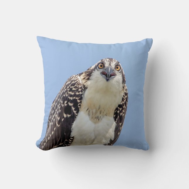 Coussin Plan rapproché d'un balbuzard juvénile (Recto)