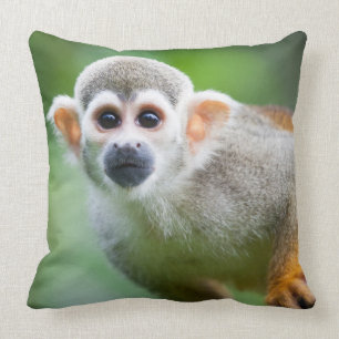 Coussin Plan rapproché d'un singe-écureuil commun