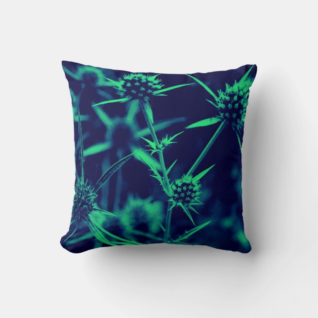 Coussin plante (Recto)