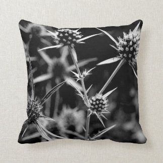 Coussin plante