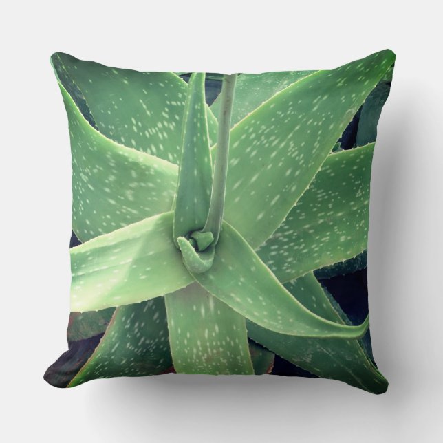 Coussin Plante Aloe Vera (Recto)