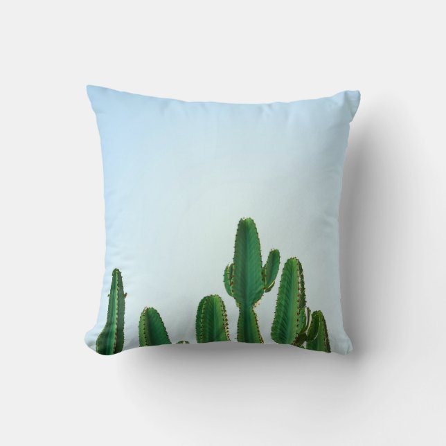 Coussin Plante cactus vert en arrière - plan blanc (Recto)
