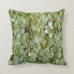Coussin Plante couvrant le mur en pierre