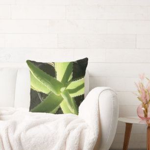 Coussin Plante d'aloès