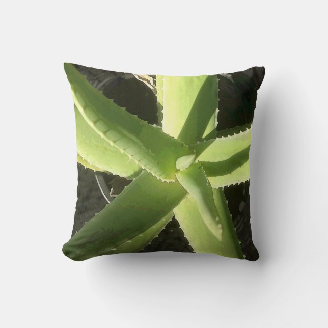 Coussin Plante d'aloès (Recto)