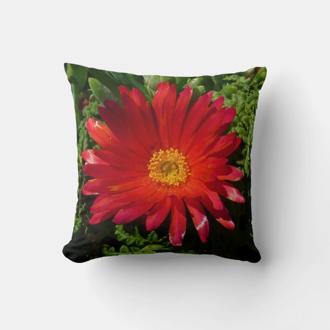 Coussin Plante de moquette couleur rouge à fleur de glace (Recto)