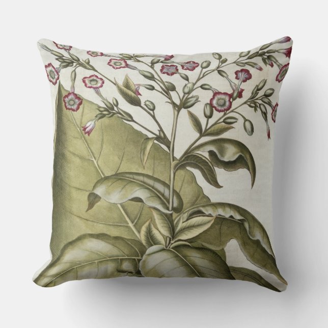 Coussin Plante de tabac, du "Hortus Eystettensis" par B (Recto)