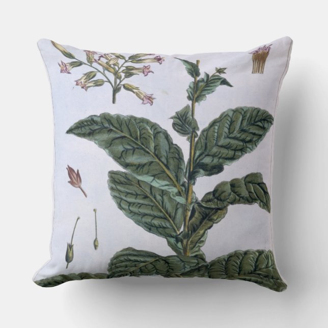 Coussin Plante de tabac, plat 7, de 'collection Precieuse (Recto)