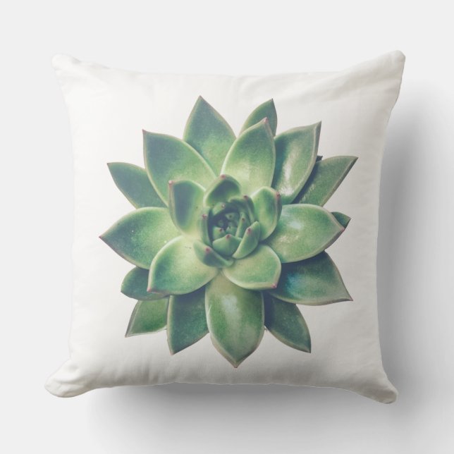Coussin Plante grasse verte moderne et amicale sur fond bl (Recto)
